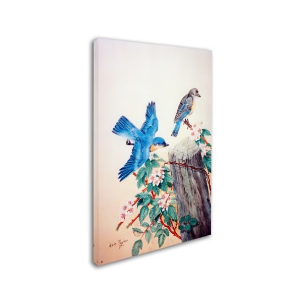 Arie Reinhardt Taylor 'Bluebirds' Canvas Art,16x24